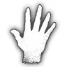 Universe in the Palm